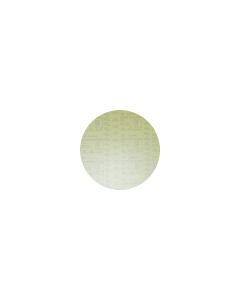 3M 8 Inch 300 Grit Electrostatic Diamond Disk