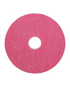 5 Inch Velcro Backed 220 Grit Resin Diamond Smoothing Disk