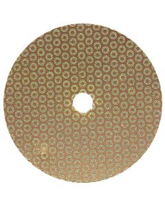 5 Inch Velcro Backed 30 Grit Baby Rok Diamond Disk