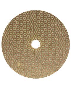 5 Inch Velcro Backed 30 Grit Baby Rok Diamond Disk